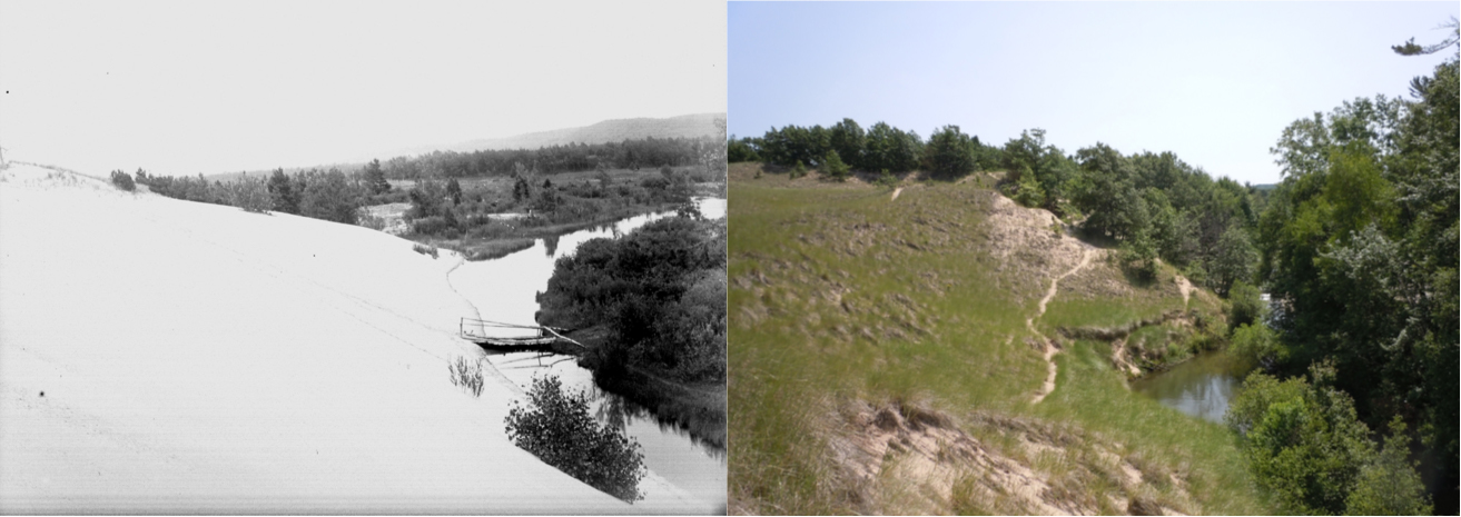 Side-by-side photos of Silver Creek coastal sand dunes, in Silver Lake State Park, taken in the same location over 100 years apart.